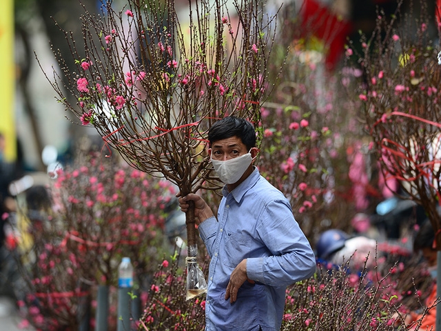 Quang cảnh vắng vẻ khác lạ của chợ hoa Hàng Lược ngày cận tết - Ảnh 1.