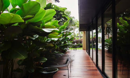 Nhà nghỉ cuối tuần nhiều cây