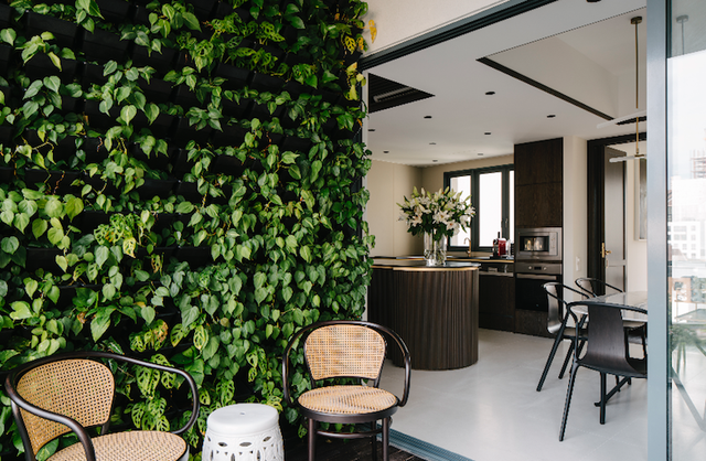 Đồ nội thất gỗ tối màu có phù hợp với căn hộ nhỏ? - Ảnh 8.