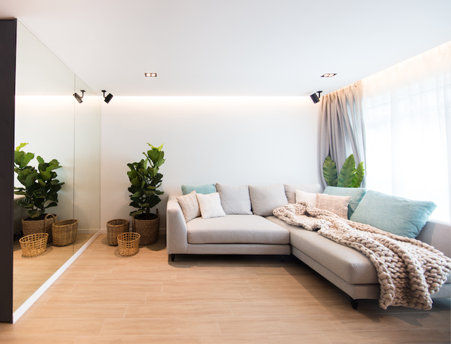 Đưa cây vào nhà sao cho hợp lý? - Ảnh 1.