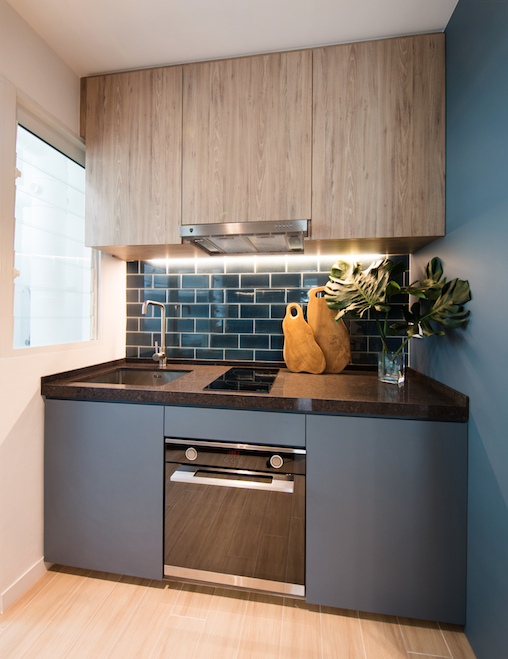 Đưa cây vào nhà sao cho hợp lý? - Ảnh 3.