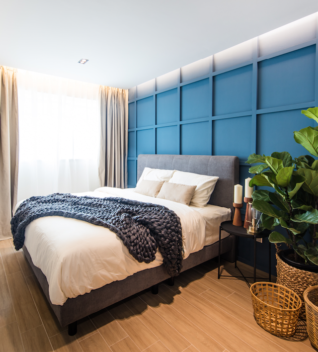 Đưa cây vào nhà sao cho hợp lý? - Ảnh 5.
