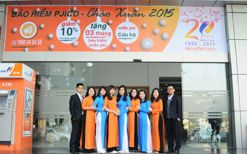 Phương thức tra cứu có thể thực hiện theo nhiều cách: Truy cập website 
http://pjico.com.vn, gửi tin nhắn theo cú pháp hoặc điện thoại trực tiếp
 đến Trung tâm dịch vụ khách hàng PJICO số 1900 54 54 55.