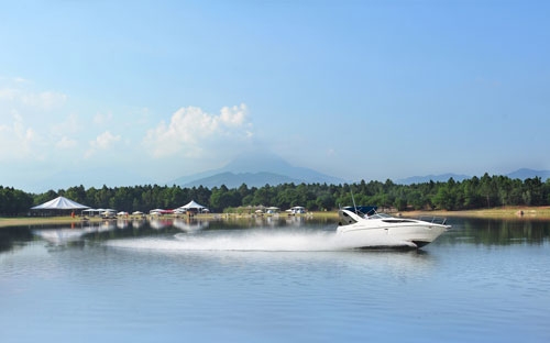 Nhiều cơ hội sở hữu biệt thự Flamingo  1