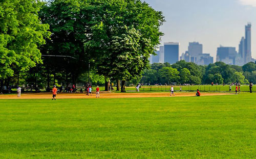 Công viên sẽ phục vụ tối đa nhu cầu của những cư dân năng động. <br>