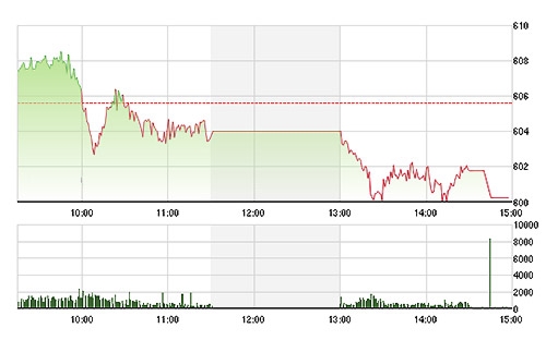 VN-Index bị dìm bởi những mã vốn hóa lớn nhất chứ không phải do ảnh hưởng bán ra từ quỹ VNM.