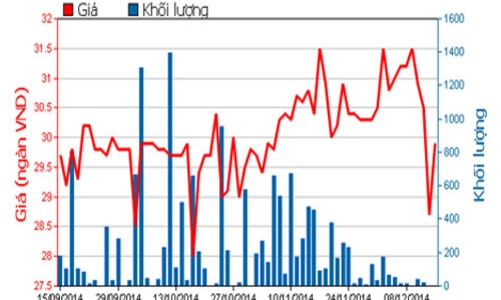 Lịch trả cổ tức từ 15-31/12