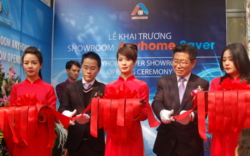 Cuối năm 2013, Anyhomes Asia đã chính thức nhập về Việt Nam 2.000 
sản phẩm tiết kiệm điện mang tên Anyhome Saver để phục vụ cho việc khởi 
động kế hoạch bán hàng.