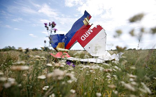 Hiện ICAO chưa có cuộc họp nội bộ nào về vụ MH17.