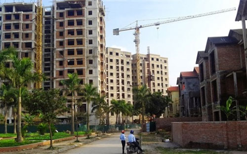 Ngay cả khi thị trường ấm lên và có dấu hiệu xuất hiện của một bộ phận 
đầu cơ để mong tìm kiếm lợi nhuận sau đó thì cũng là hoạt động thông 
thường của thị trường. 