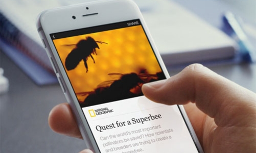 Báo chí đã có thể xuất bản trực tiếp trên Facebook