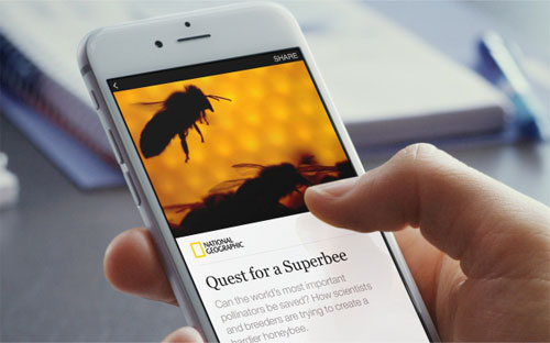 Các đơn vị báo chí có thể tạo liên kết “nhúng” hoặc bán quảng cáo trong 
các bài viết và thu về toàn bộ doanh thu từ quảng cáo, hoặc cho phép 
Facebook bán quảng cáo và mạng xã hội này sẽ giữ lại 30% lợi nhuận