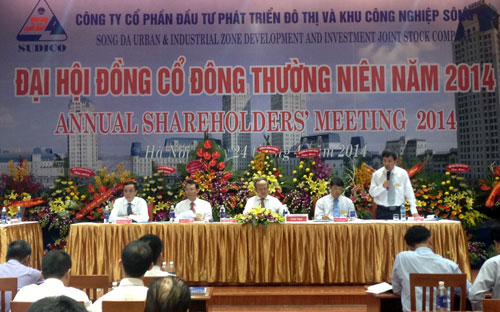Doanh thu và lợi nhuận của Sudico trong năm 2013 đã có thay đổi lớn so với năm 2012.<br>