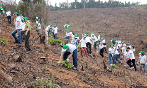 Honda tổ chức ngày hội trồng rừng năm thứ 2 tại Bắc Kạn