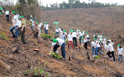 Dự án này sẽ không chỉ góp phần vào việc bảo vệ môi trường mà còn trực tiếp 
nâng cao đời sống, góp phần xóa đói giảm nghèo cho người dân địa phương.