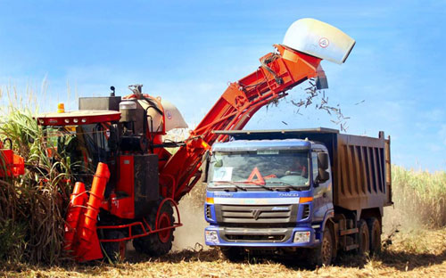  Tỷ trọng doanh nghiệp đầu tư vào sản xuất nông nghiệp năm 2014 chỉ 
chiếm 1,01% trong tổng doanh nghiệp của cả nước, đa phần là quy mô vốn 
nhỏ. Số doanh nghiệp có quy mô vốn dưới 5 tỷ đồng chiếm 55%.&nbsp; <br>