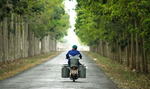 Lỗ từ mảng cao su, chuyện khó tin của HAGL