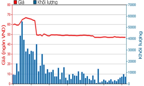 Công ty mẹ FPT lãi 1.345 tỷ đồng nhờ doanh thu tài chính tăng vọt