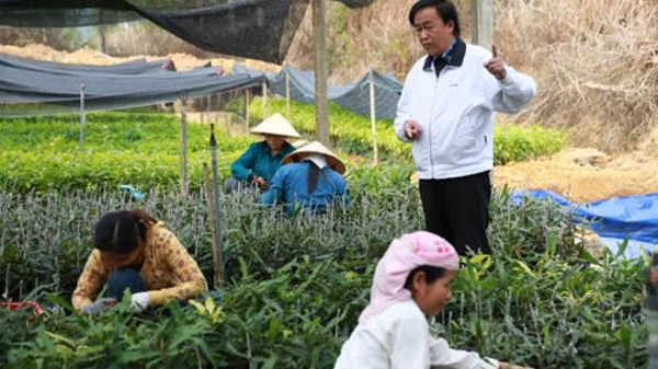 Mắc-ca Việt Nam và những “bác nông dân gàn”