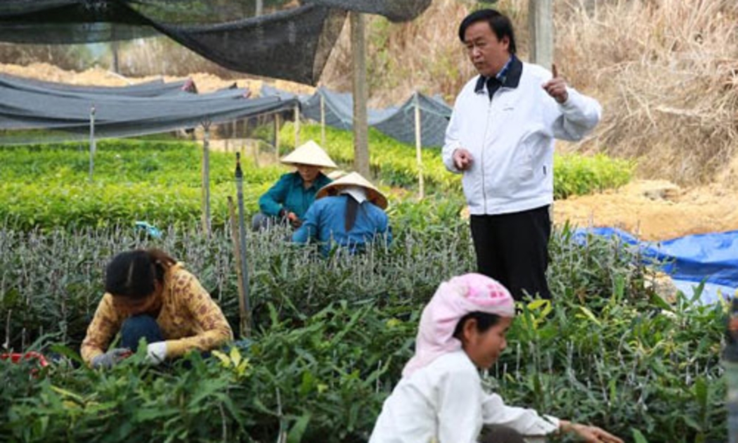 Theo GS. Nguyễn Lân Hùng, cây mắc-ca sẽ giúp các hộ dân ở Tây Nguyên xóa đói giảm nghèo và hướng tới làm giàu được.
