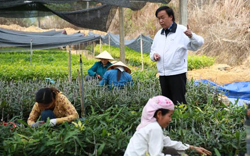 Theo GS. Nguyễn Lân Hùng, cây mắc-ca sẽ giúp các hộ dân ở Tây Nguyên xóa đói giảm nghèo và hướng tới làm giàu được.<br>