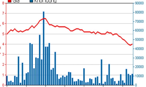 HAP sẽ bán 65% vốn góp tại Công ty TNHH đầu tư tài chính Hapaco