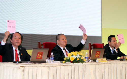 Ông Lê Phước Vũ - Chủ tịch Hội đồng Quản trị HSG, cho biết, nhờ những 
quyết định táo bạo trong đầu tư, chi phí sản xuất thấp và chất lượng tốt
 nên đảm bảo được lợi nhuận tốt trong niên độ 2012-2013.