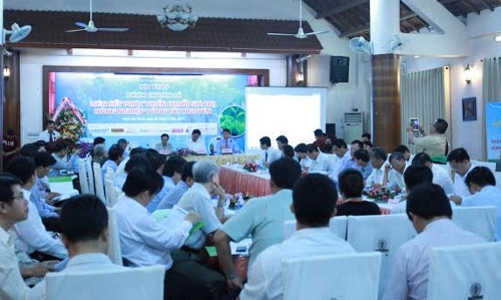 Nông sản Tây Nguyên mới mạnh về sơ chế