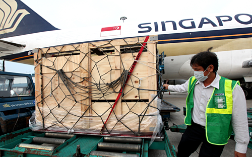 Vinamilk tiếp tục nhập bò sữa cao sản từ Úc về Việt Nam 2