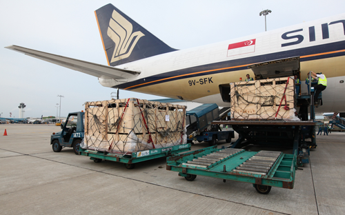 Chi phí khá cao, nhưng Vinamilk chọn vận chuyển bò sữa bằng máy bay nhằm đảm bảo được độ an toàn cũng như sức khỏe cho đàn bò.