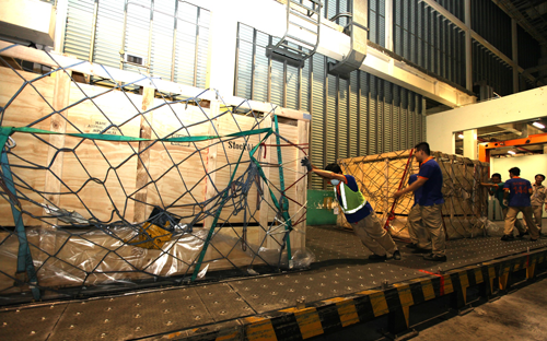 Vinamilk tiếp tục nhập bò sữa cao sản từ Úc về Việt Nam 4