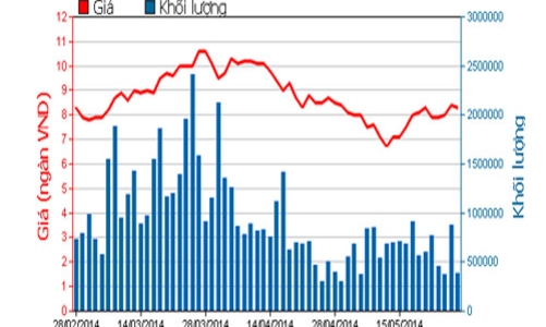 Mẹ bà Đặng Thị Hoàng Yến không còn là cổ đông của Tân Tạo