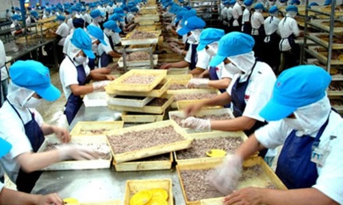 Lương tăng gấp ba lần năng suất lao động