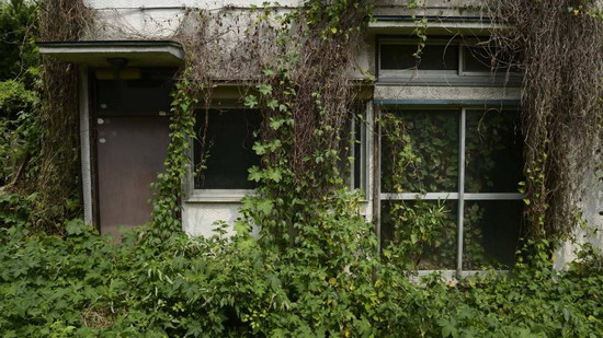 Ước tính của Chính phủ Nhật mới đây cho thấy hiện khoảng 8 triệu căn nhà đang không có người ở - Ảnh: Japan Times.<br>