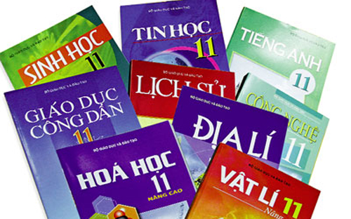 Tại Đại hội Đảng lần thứ 11 và trong các nghị quyết được ban hành sau đó, vấn đề đổi mới chương trình, sách giáo khoa giáo dục phổ thông đã được xem là một nội dung then chốt trong kế hoạch tổng thể về cải cách giáo dục.