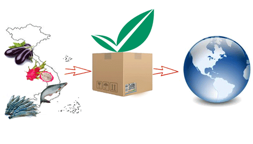 Việc chuyển hóa hệ thống truy xuất vào phần mềm đảm bảo thông tin được 
truy cập mọi lúc, mọi nơi, từ cơ sở sản xuất tới hệ thống phân phối, các
 cửa khẩu hoặc ngay tại địa điểm tiếp nhận hàng hóa, rất nhanh chóng, 
đầy đủ và dễ dàng.