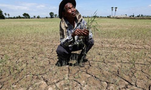 Thái Lan khó càng thêm khó vì hạn hán kỷ lục