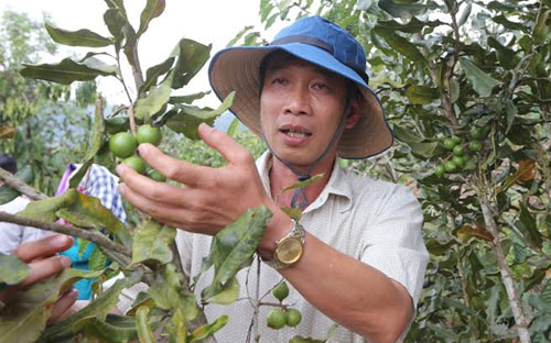 Ông Trần Đình Mạnh nhớ lại cảm xúc lần đầu tiên chạm dần tới thành công: “Chúng tôi ngồi lặng lẽ bên ly cà phê, mà chưa biết nói gì, dù ai cũng ngầm nghĩ đã bắt đầu có kết quả” - Ảnh: Quang Phúc.<br>