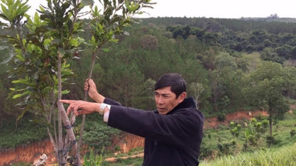 Vì sao “vua” mắc-ca Lâm Đồng rơi vào bế tắc?