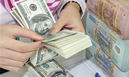 “Dự trữ ngoại hối tiềm năng của Việt Nam khoảng 45 tỷ USD”