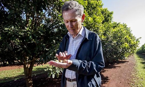 “Dị nhân” Phil Zadro: Chân dung ông vua mắc-ca thế giới