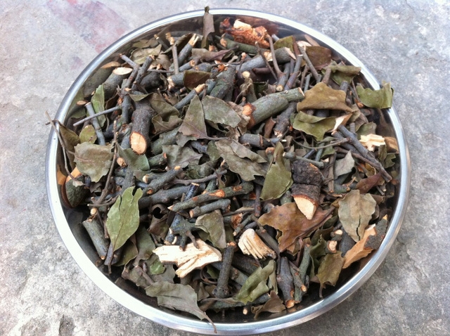 Tầm gửi cây gạo: chỉ là bài thuốc truyền miệng - Ảnh 1.