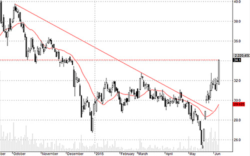HCM hôm nay đột biến giá.<br>