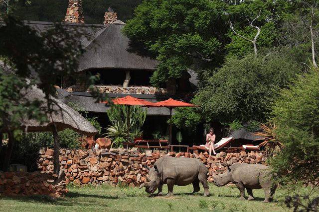 3 khu nghỉ dưỡng safari cho người yêu thiên nhiên - Ảnh 1.