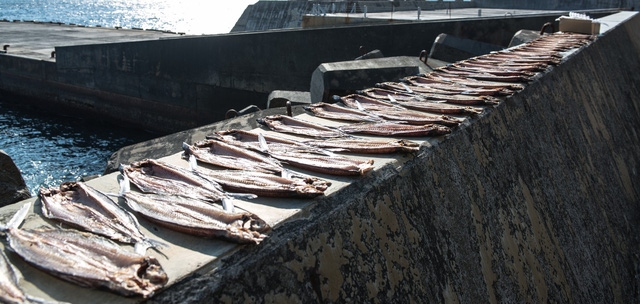Aogashima: hòn đảo núi lửa - Ảnh 12.