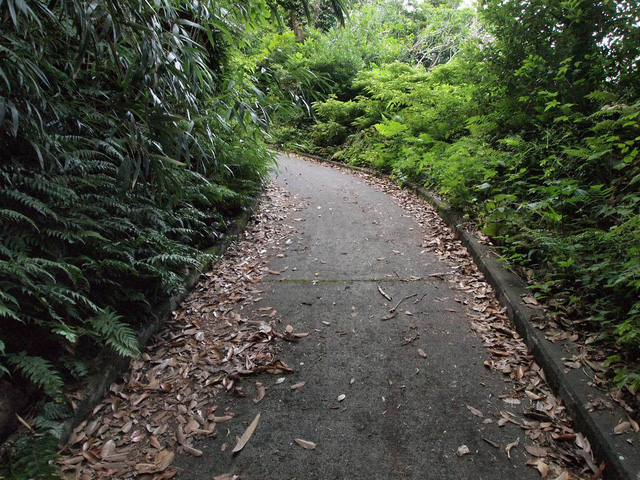 Aogashima: hòn đảo núi lửa - Ảnh 13.