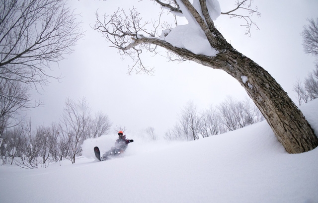 Aomori – thiên đường tuyết của Nhật Bản - Ảnh 12.