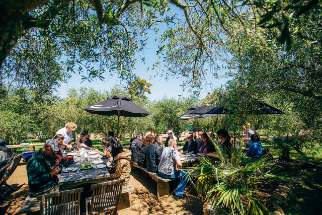 Auckland - thành phố đáng sống thứ 3 trên thế giới - Ảnh 17.