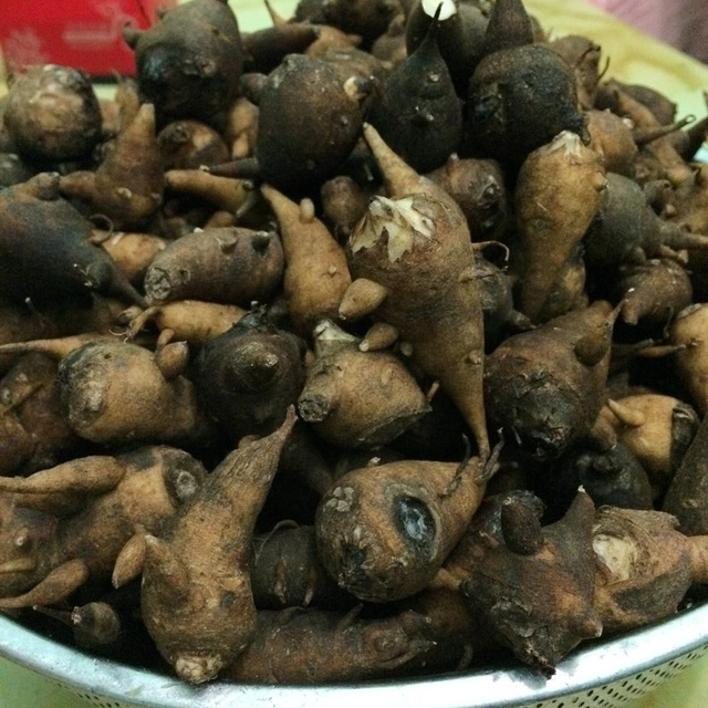 Cháo Ấu tẩu – vị đắng khó quên - Ảnh 1.