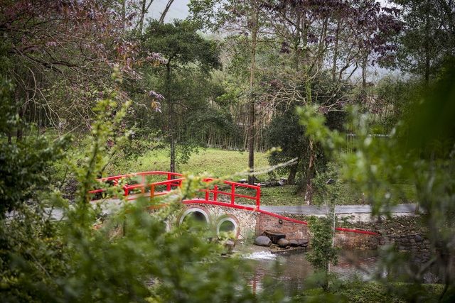 Alba Wellness Resort: sống cùng thiên nhiên - Ảnh 4.